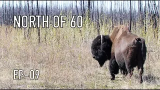 Life is Like Sailing – North of 60 – Ep  09