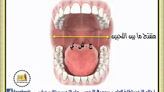 ماهو شجر الفم 