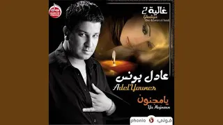                               دندنها