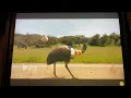Farmer Limu emu Doug Liberty Mutual insurance commercial