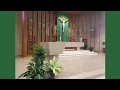 20th Ordinary Sunday 16 Aug 2026