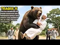 Download Lagu GEGER !! Pak Haji ini DIP*LUK Beruang sampai tulangnya remuk, dan ternyata ini lah yang dilakukannya