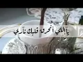 كارمن سليمان .. أخباري