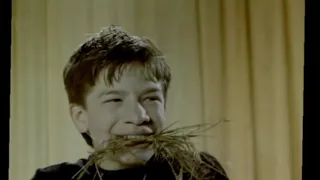 Ералаш 81 Не верю 