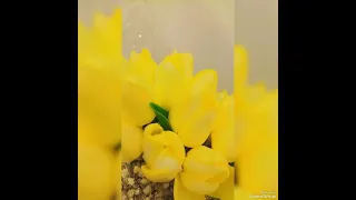 ريتو مبارك ياعريس    دندنها