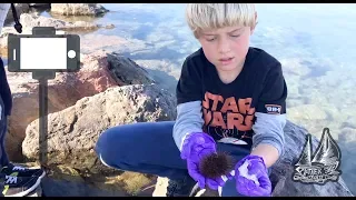 Community Beach Clean in Almerimar – Clearing the Plastic Pollution from local Beaches