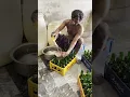 Download Lagu Lemon Soda Cold Drink Filling Process #ytshorts #factoryproducts #asmr #soda