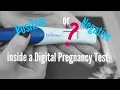 Inside a Digital Pregnancy test ClearBlue 2 Lines Mama-T