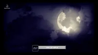 رائعة الرادود يوسف الجميعي   شوقي وحنيني   ميلاد أمير المؤمنين عليه السلام دندنها