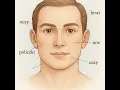Exploring the Parts of the Face in Polish