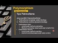 PBO LanjutTopik 8 - 2 Polimorfisme