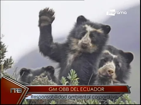 GM Obb del Ecuador responsabilidad ambiental corporativa