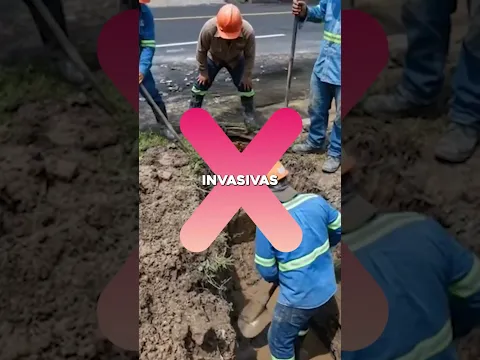 ¿Cómo detectar fugas de agua subterráneas sin hacer obras?