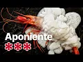 Behind the Scenes at the World s Most Innovative Seafood Restaurant 25 Courses 350
