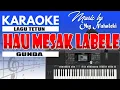 Download Lagu Karaoke - Hau Mesak Labele ( Gunda )