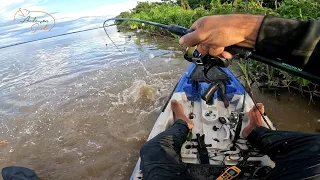 NUNCA SUBESTIME AS MARGENS DO RIO MADEIRA! O QUE SE ESCONDE ALI VAI TE SURPREENDER!