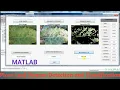 Plant Leaf Disease Detection and Classification