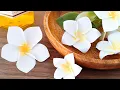 Plumeria How to make paper flowers Origami DIY paper crafts