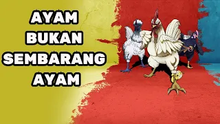 dont underestimate this anime rooster fighter the most absurd anime turns out to be mind blowing