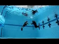 Download Lagu Zach Gets Certified to Dive! | JONATHAN BIRD'S BLUE WORLD