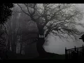𝐠𝐫𝐨𝐮𝐩𝐞𝐫 - 𝐩𝐨𝐢𝐬𝐨𝐧 𝐭𝐫𝐞𝐞 
