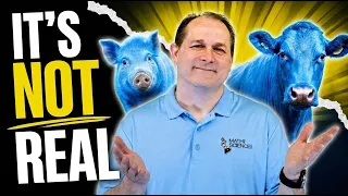 Blue is EVERYWHERE...So Why Are Almost No Animals Blue?