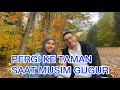 Lagu Masak menu ayam Saos simple || pergi survei Kebun bunga