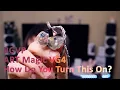 BGVP ART Magic VG4 IEMs - How Do You Turn This On