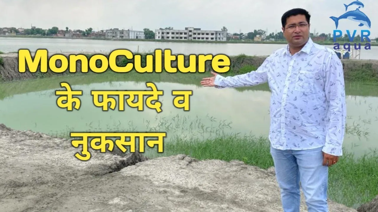 MonoCulture क्या होता है? । Advantages & Disadvantages Of MonoCulture । #FishFarming
