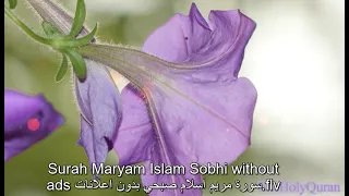 Surah Maryam Islam Sobhi Without Ads سورة مريم اسلام صبحي بدون اعلانات 