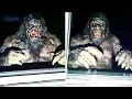 Download Lagu IF YOU THOUGHT YOU HAD SEEN IT ALL WATCH THIS BIZARRE VIDEO SCARY VIDEOS #33