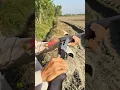 12 Gauge Shell Ejection in Slow Motion | Firearms in Motion