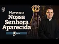 Download Lagu 3º dia - Novena a Nossa Senhora da Conceição Aparecida
