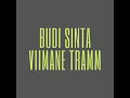 Sayap Terluka - Budi Sinta
