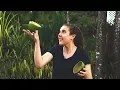 Making Calabash Bowls in Guadeloupe