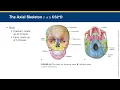 EMT Chapter 6 Lecture - Human Anatomy and Physiology