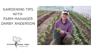 Gardening Tips - From Darby Anderson