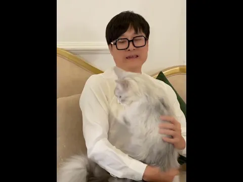 BTS Art - mèo Queen tham gia quay phim luôn nè #bts # #btsshorts #cat #meoqueen