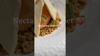 The Perfect Michelin Star Nectarine Sorbet Recipe