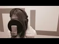 衛蘭｜離家出走 Janice M. Vidal (cover by RU)