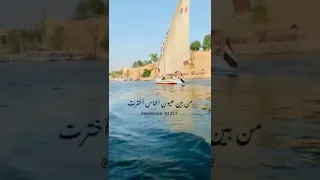 الكينج محمد منير يا حمام بتنوح ليه دندنها