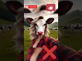 Download Lagu Best ☑️ Muslim 🕋 Edit In The world 🌍 #36 #shorts​​ #subhanallah​​ #allah​​ #islamic​​
