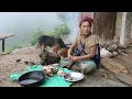 Download Lagu Myvillage official videos EP 420 || Cooking and eating village meats