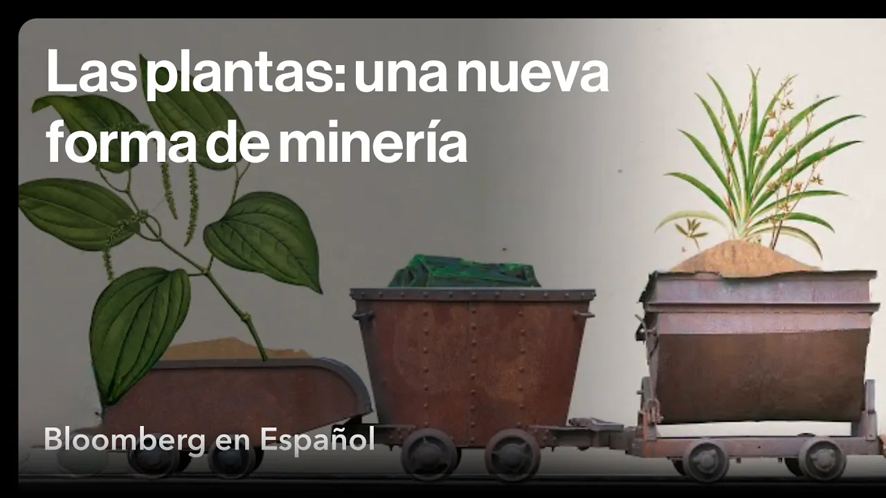 ¿Podría el cultivo de plantas revertir nuestra adicción por la minería?