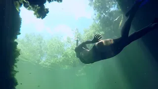 We swam with a crocodile! — Sailing Uma [Step 23]