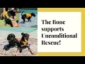The Bone Adventure Supports Unconditional Rescue