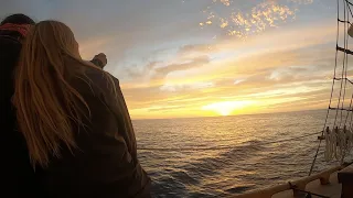 Salt & Tar: Ep.233- Crossing the Tropic of Cancer