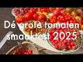 Download Lagu Ini's Moestuin #249 - Tomaten smaaktest. Raad welke tomaten Ini's favorieten zijn van dit seizoen?