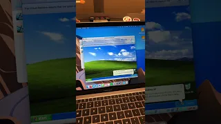 Windows XP Startup Shorts 