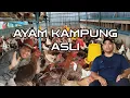 Download Lagu XN504802 Usahawan Muda Memacu Penternakan Ayam Kampung Asli ke Arah Kejayaan
